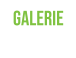 Galerie